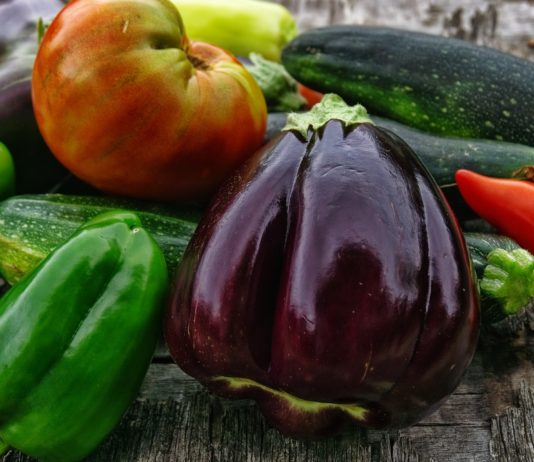 uzgoj i zaštita plodovitog povrća na otvorenom chromos agro