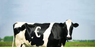 spas proizvodnje mlijeka propast proizvodnje mlijeka