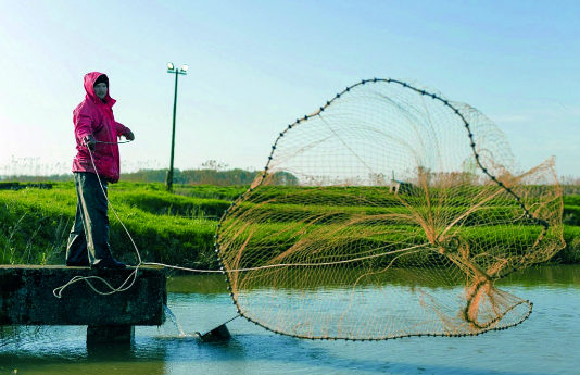 proizvodnja ribe proizvodnja slatkovodne ribe