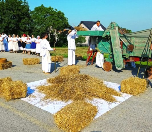 Oživjela ljepota starih običaja umjetnost u žitu