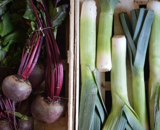 Najveći prihod od proizvodnje celera