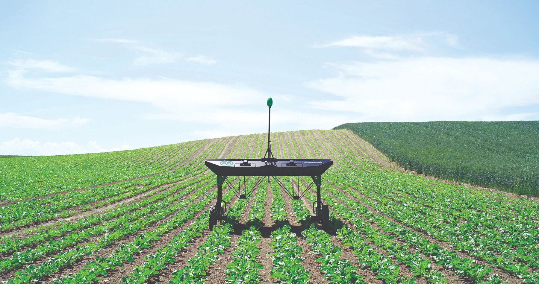 poljoprivredni roboti u poljoprivredi