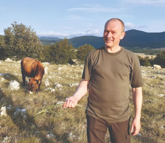 smanjenja potpora na krškim pašnajcima krški pašnjaci