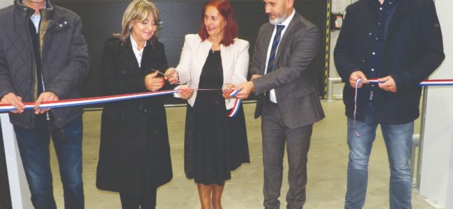 belpak skladište merkantilog krumpira