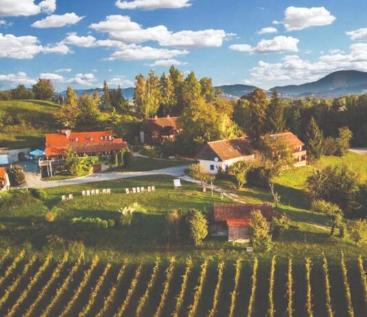 Koje promjene donosi novi Zakon o obiteljskom poljoprivrednom gospodarstvu? Koje promjene donosi novi Zakon o obiteljskom poljoprivrednom gospodarstvu?