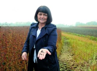 Dobar savjet(nik) zlata vrijedi – dr. sc. Mara Bogović, Varaždinska županija