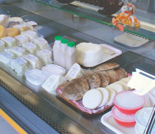 Svježi sir se isplati proizvoditi!