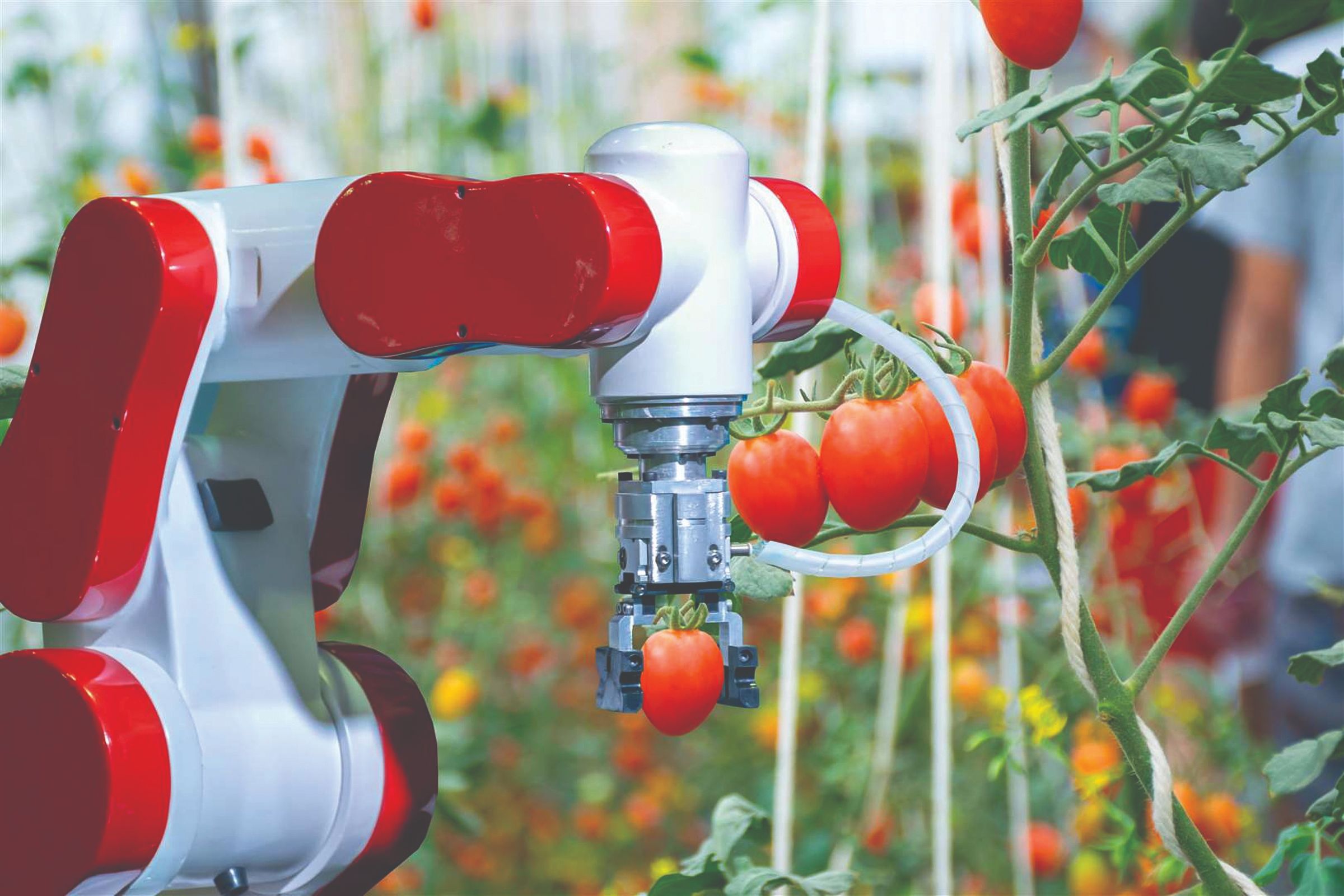 roboti u poljoprivredi