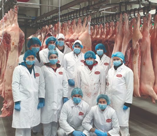 Vajda – lideri u sektoru svježeg mesa vajda