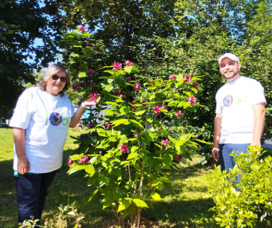 dan očaranosti biljkama uloga biljaka u očuvanju okoliša