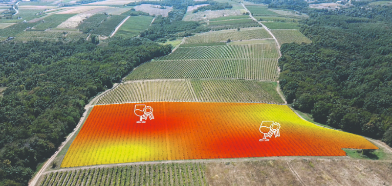 digitalizacija vinogradarske proizvodnje