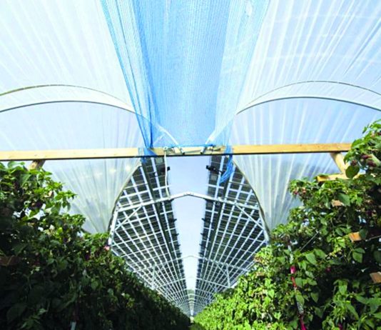 agrosolari kao zaštita