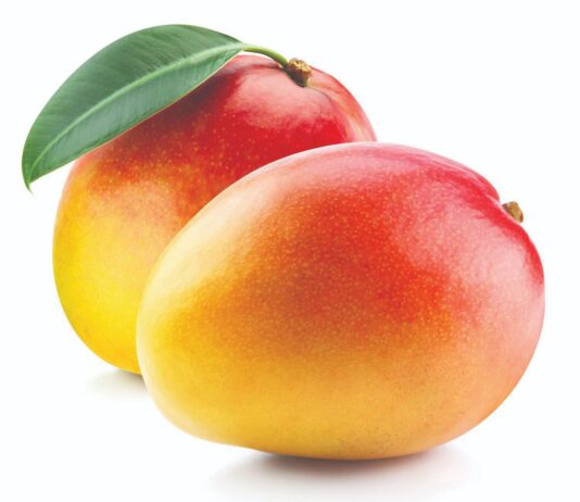 Posadite mango-najrasprostranjeniju vrstu tropskog voća
