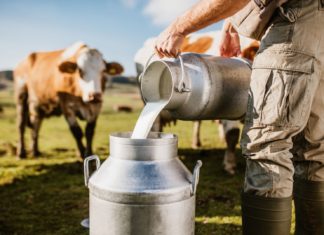 trendovi u proizvodnji mlijeka proizvodnja mlijeka
