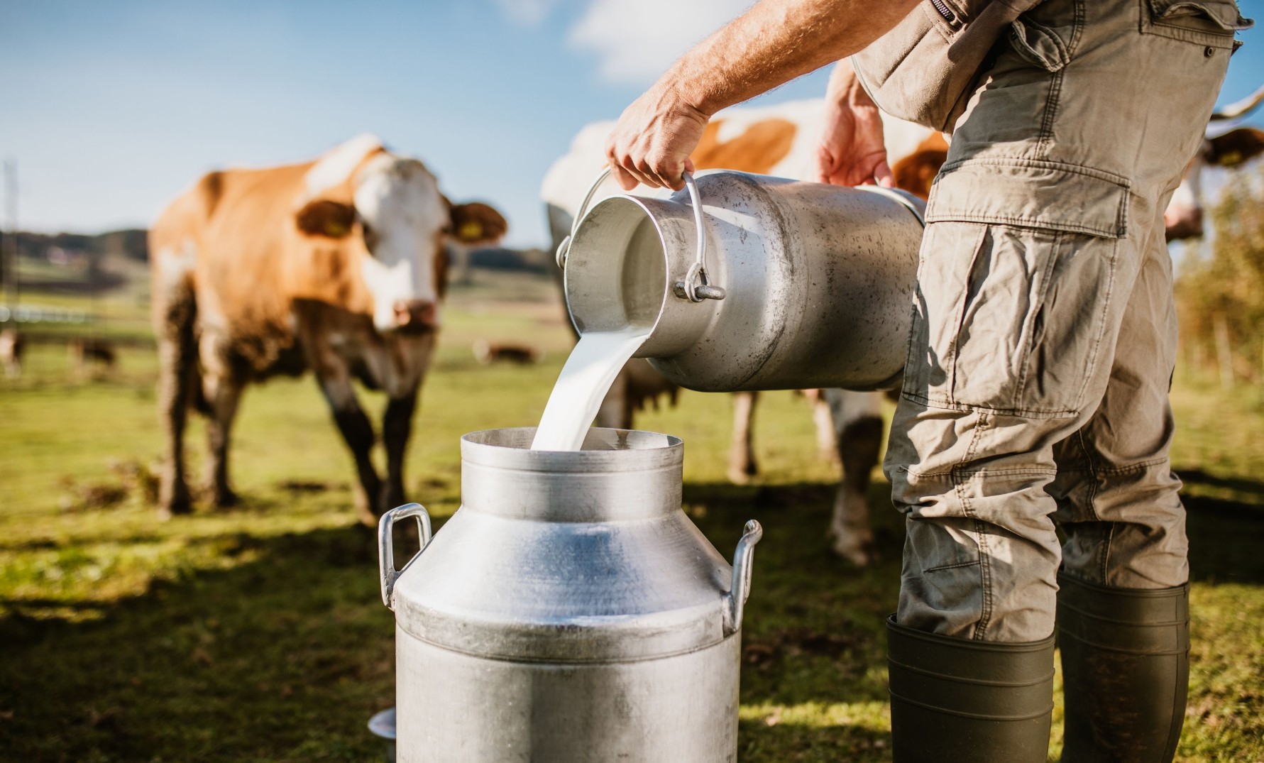 trendovi u proizvodnji mlijeka proizvodnja mlijeka