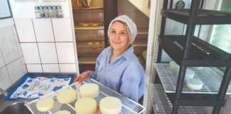 proizvodnaj sira proizvodnja mlijeka