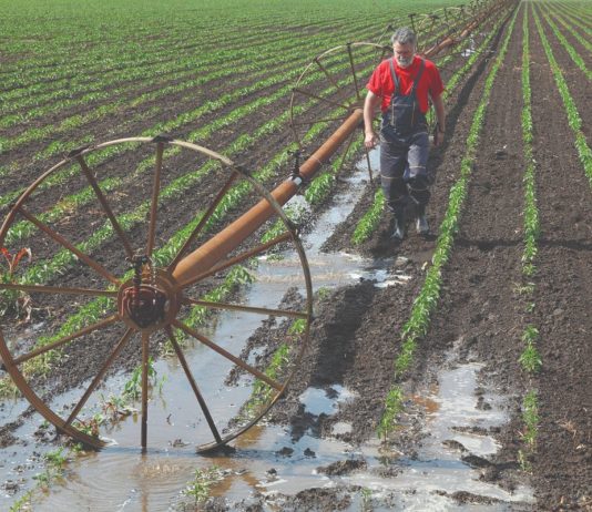 navodnjavanje potpore za navodnjavanje