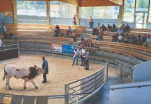 stočari u posjetu austriji uzgojni centar treboch