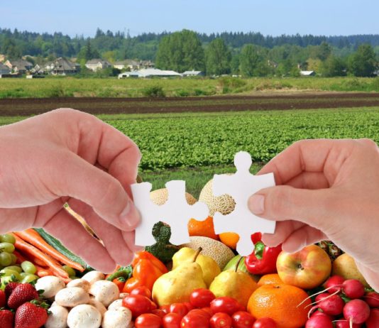 Zadruga – koje su prednosti i nedostaci? zadruga