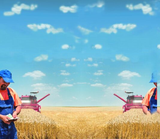 Prodati odmah ili uskladištiti i čekati veću cijenu?