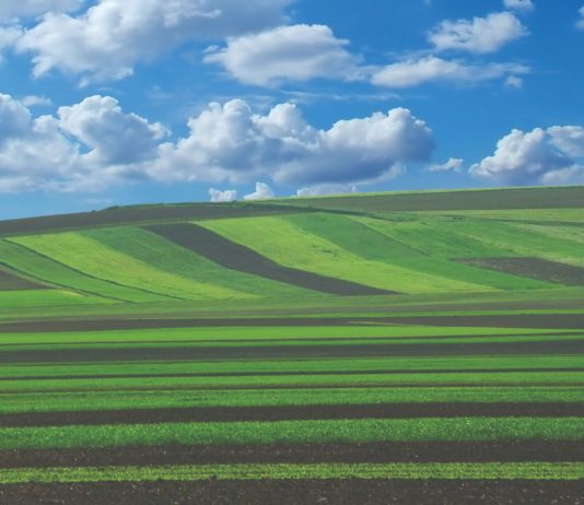 državno poljoprivredno zemljište okruglis tol na agronomskom fakultetu