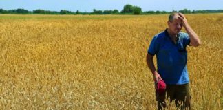 uvoz ukrajinskog žita