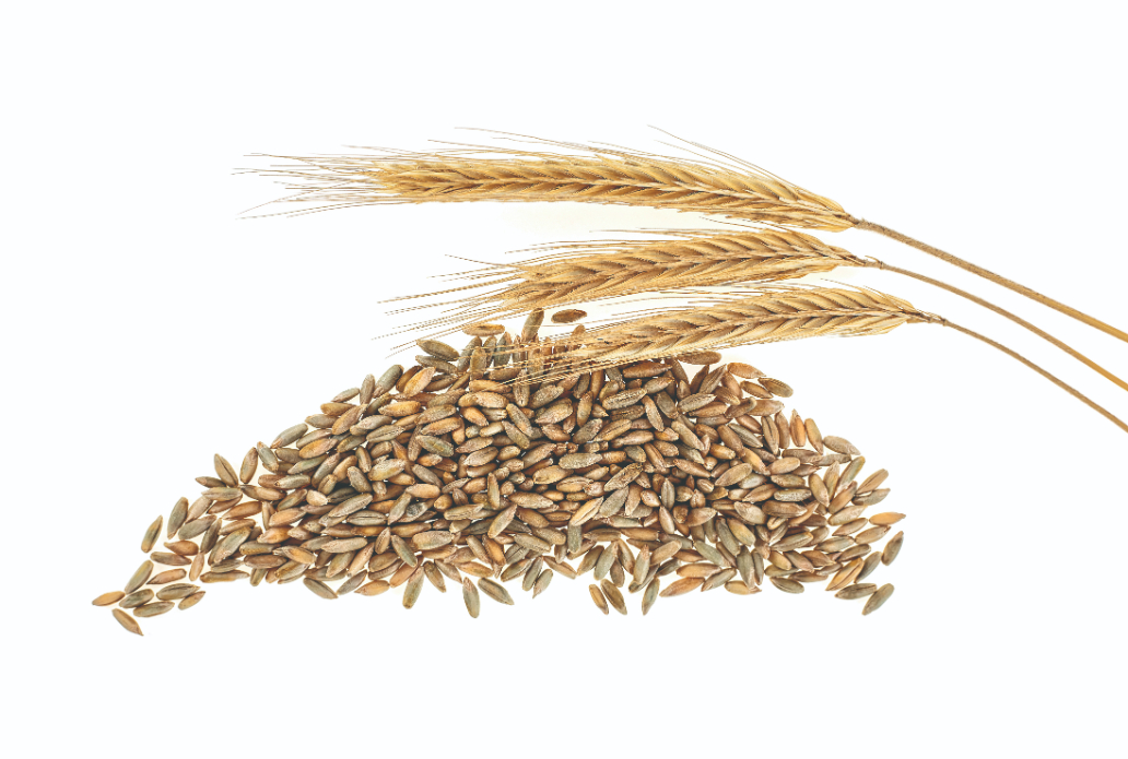 naslovna slika shutterstock_1107049847