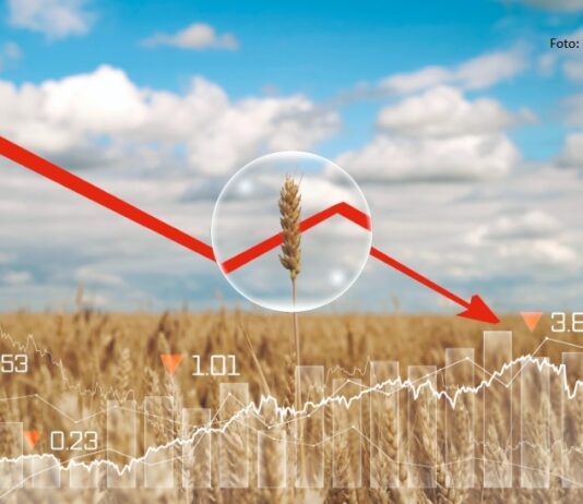 otkupna cijena pšenice otkup pšenice rizik proizvodnje
