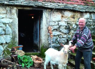Bez razumijevanja ljudi na selu, nije moguće oblikovati ni provoditi uspješne ruralne i poljoprivredne politike