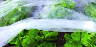 zaštita povrća od niskih temperatura