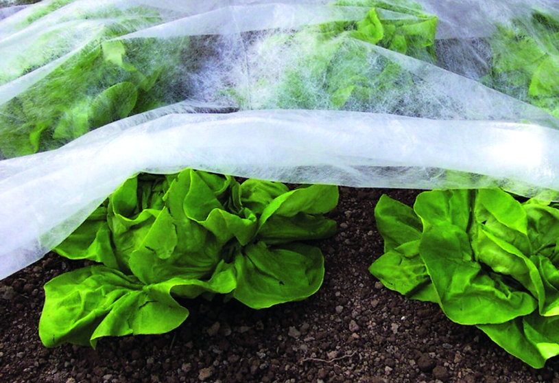 zaštita povrća od niskih temperatura
