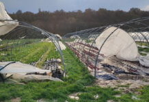 Štete od olujnih vjetrova trgaju plastenike i bacaju poljoprivrednike u očaj