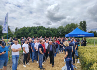 Syngenta održala Centralni dan polja