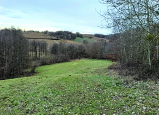 Proljetne agrotehničke mjere njege na privremenim i trajnim travnjacima