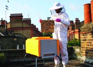 udruga prijatelji životinja urbano pčelarenje