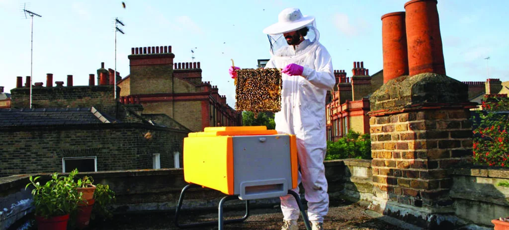 udruga prijatelji životinja urbano pčelarenje