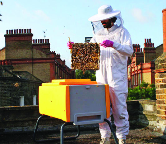 Trebamo li dozvoliti urbano pčelarenje?