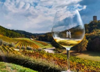 Domaća vina bira 90 posto hrvatskih potrošača