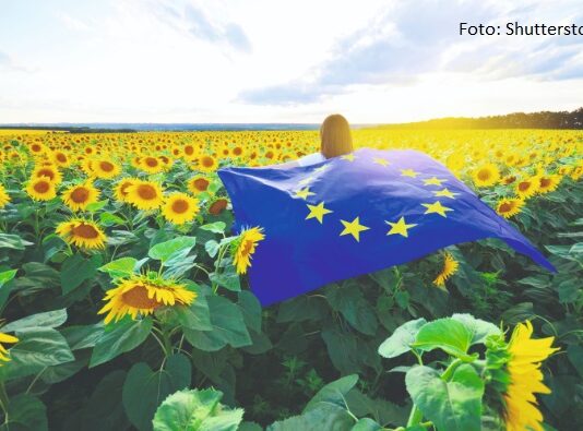 Vizija za poljoprivredu i hranu u Europskoj uniji