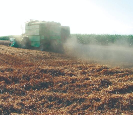 Kakva se žetva očekuje?