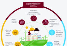 Strateški plan ZPP od 2023. do 2027.: do sada je objavljeno