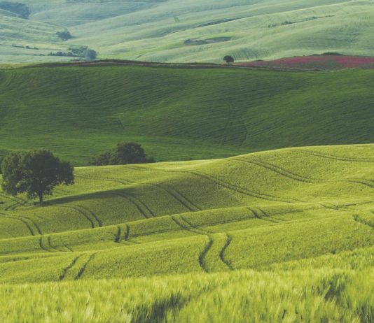 Prijavite se za IV. međunarodni znanstveno-stručni skup Inovacije u agrobiznisu! inovacije u agrobiznisu