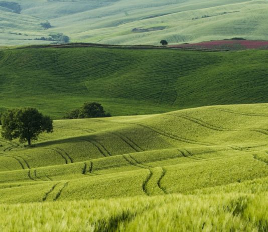 inovacije u agrobiznisu