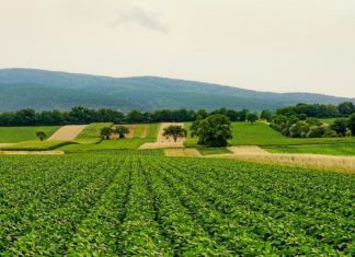 ublažavanje posljedica suše navodnajvanje