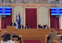 Dogovorene dodatne mjere za sprječavanje širenja afričke svinjske kuge i zaštitu domaće proizvodnje