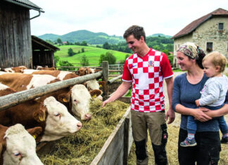 Mogućnosti obnove hrvatskog sela i poljoprivrede