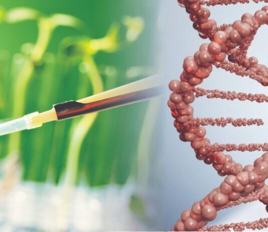 GMO – ZA ili PROTIV?