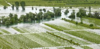 poplavljena vrgoračka polja
