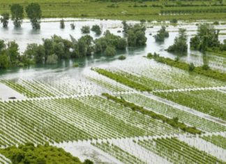 poplavljena vrgoračka polja