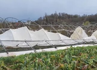 Olujno nevrijeme pogodilo Zagreb: velika šteta na OPG-ovima, među najpogođenijima OPG Novak